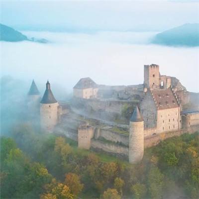 管家婆期期四肖四码中特管家app下载